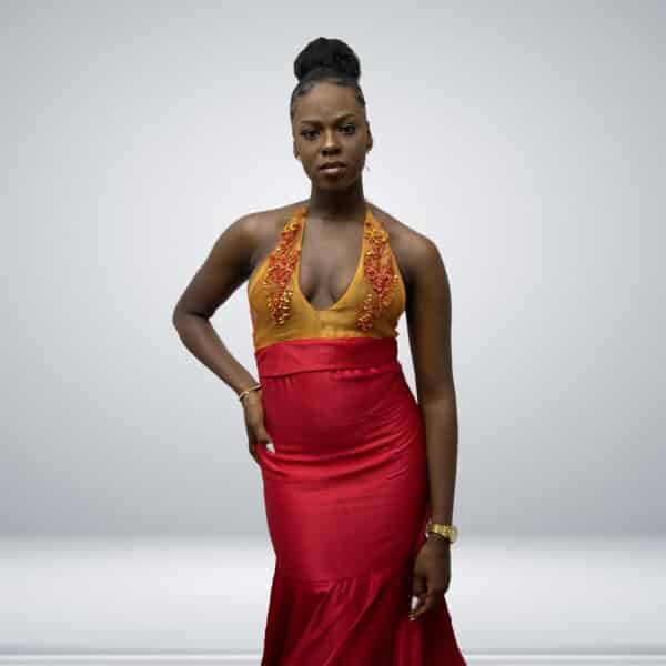 Robe Satin et Organza – Image 5
